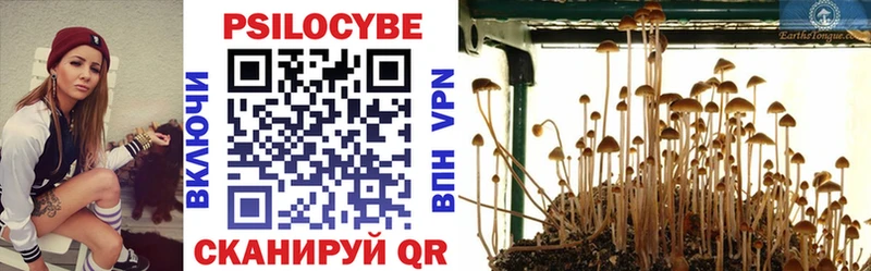 Галлюциногенные грибы MAGIC MUSHROOMS  Бобров 